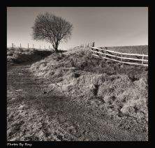 healey dell rochdalefeb 2012.jpg